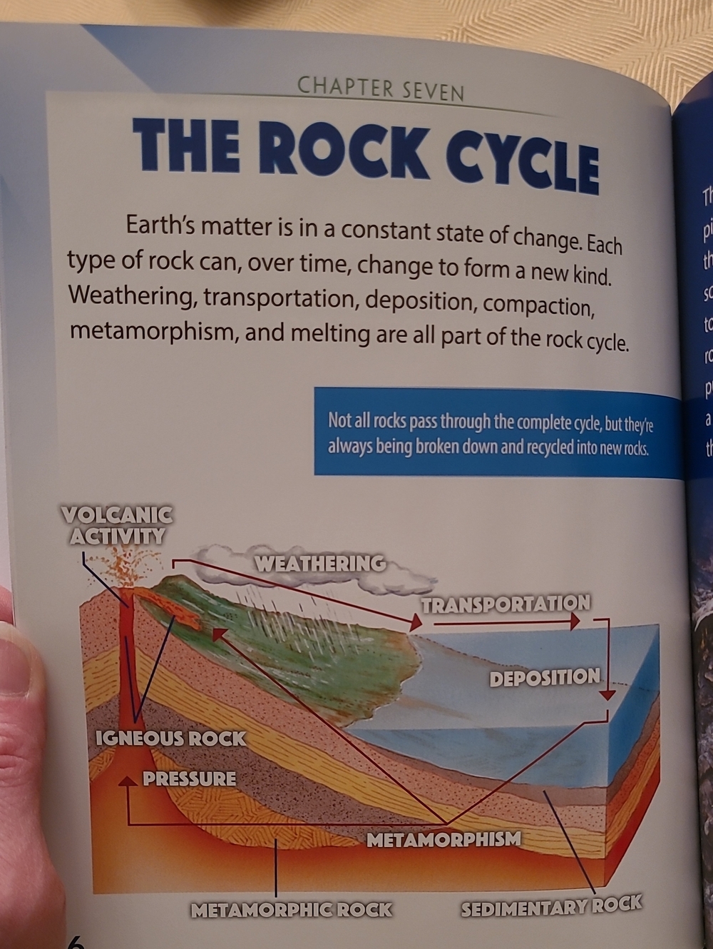 NEW 4 Book Set Rocks And Minerals - Picture 9 of 13